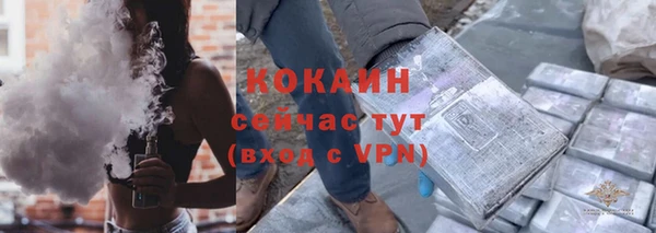 мяу мяу мука Инсар