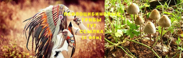 герыч Инта