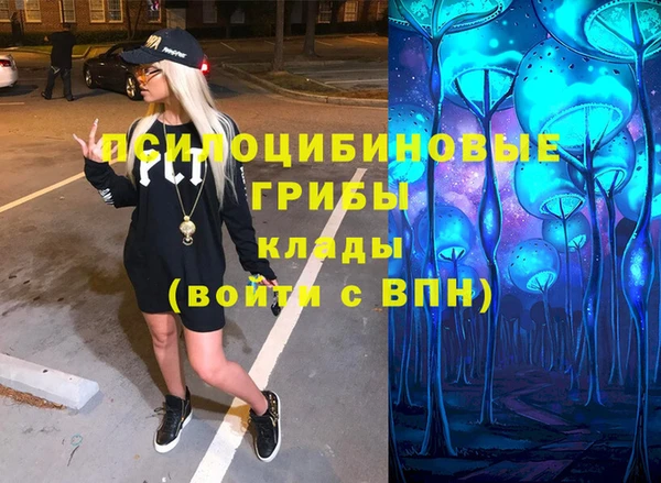 мяу мяу мука Инсар
