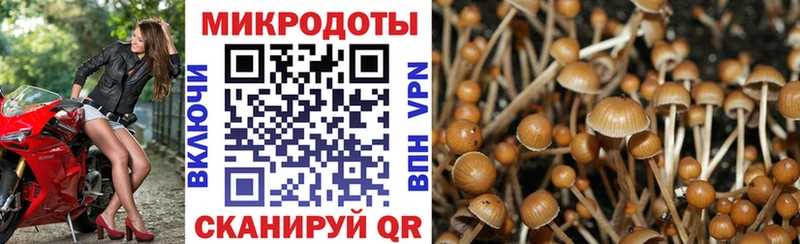 Псилоцибиновые грибы мухоморы  что такое наркотик  Камышин 